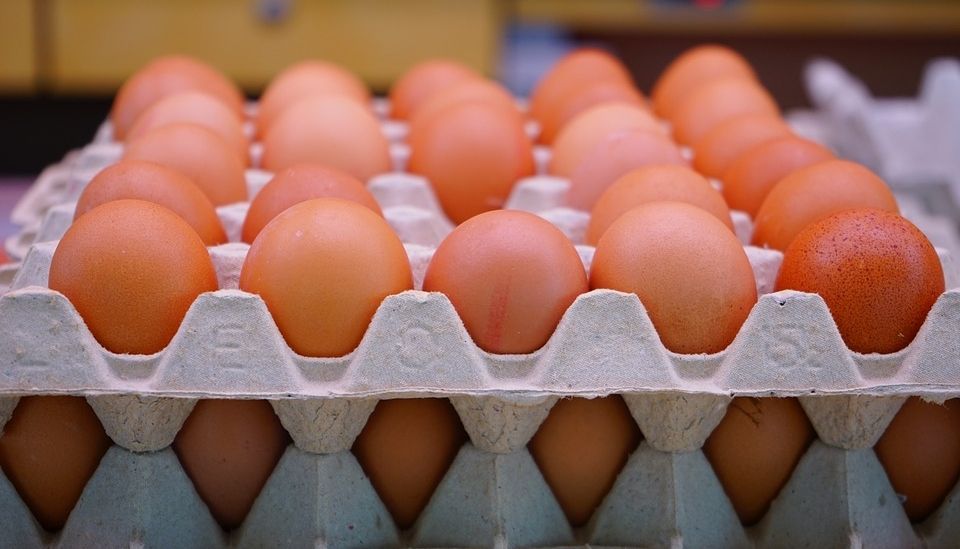 التجارة تحدد أسعار بيض المائدة والدجاج ضمن حملتها للسيطرة على السوق