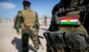 الديمقراطي الكردستاني يردُّ على زجّ اسم البيشمركة في حوادث الاحتجاجات بالعراق