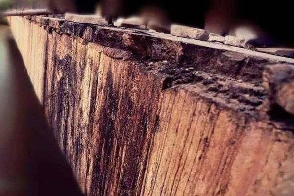 التعليم تدرج “جريمة سبايكر” ضمن المنهاج الدراسي للجامعات