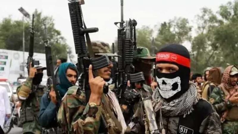تقارير: نقل قوات حركة طالبان الباكستانية إلى شمال أفغانستان