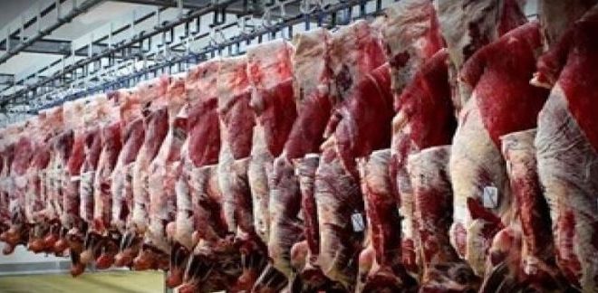 الزراعة تعلن عن إجراءات لخفض أسعار اللحوم في الأسواق