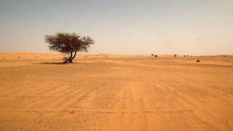 تزايد المساحات الصحراوية في العراق