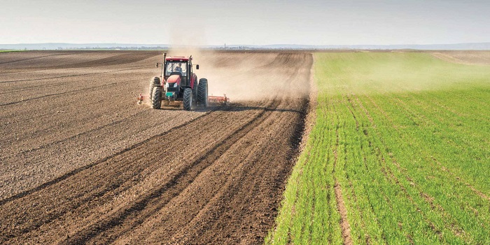 وزارة الزراعة تتحدث عن عزمها إقرار قانون الاستثمار الزراعي