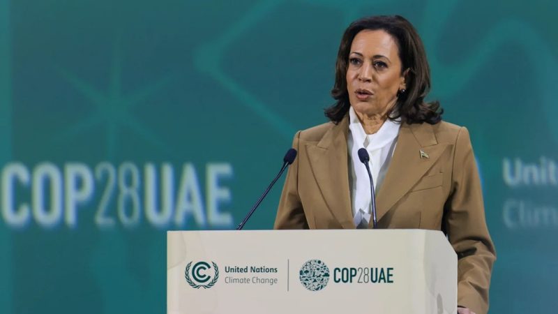 “كراهية النساء” قد تكلف هاريس موقع الرئاسة