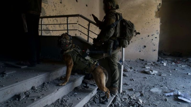 مسؤول أمني إسرائيلي: الجيش لا يستطيع إنقاذ جميع الأسرى