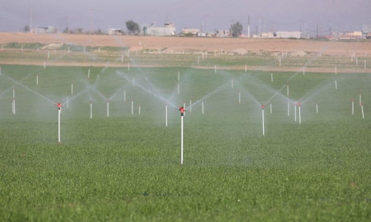 الزراعة تخصص 800 مليار دينار لشراء 12 ألف منظومة ري حديثة لتغطية مليون و400 ألف دونم