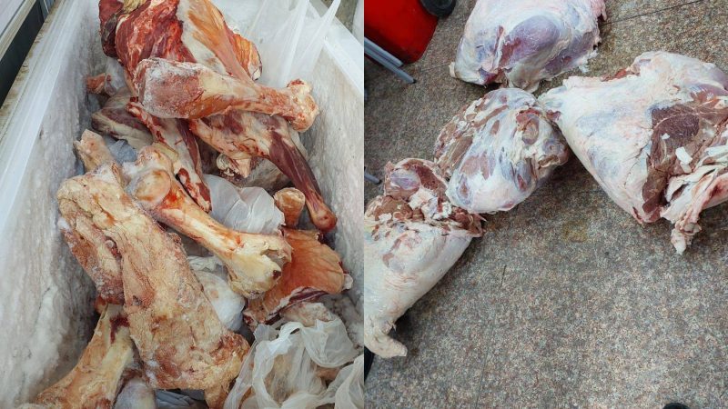 التجارة تضبط لحوماً فاسدة وتُحبط تهريب نخالة في بغداد وصلاح الدين