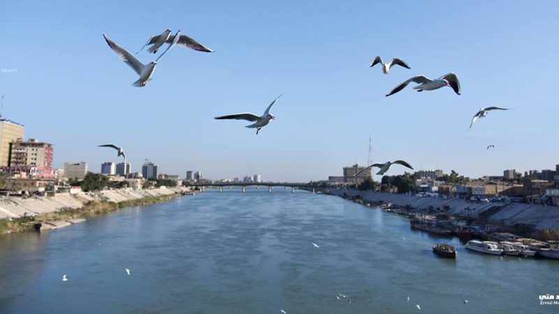 الأنواء الجوية: أمطار مرتقبة وحرارة تصل 40 مئوية في بعض المحافظات