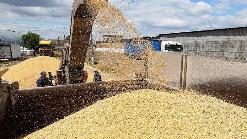 العراق يهدي سوريا 220 ألف طن من القمح تعزيزًا للعلاقات الأخوية