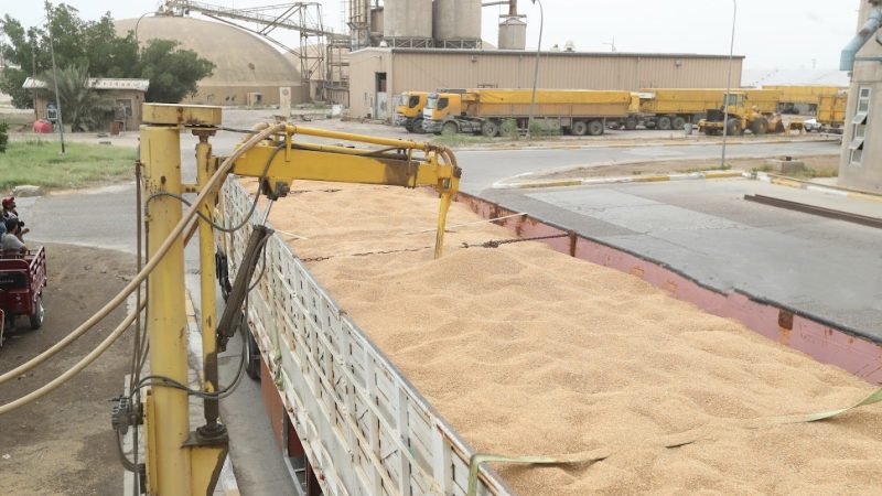 الزراعة النيابية تطالب الحكومة بتسويق الحنطة خارج الخطة لدعم الفلاحين