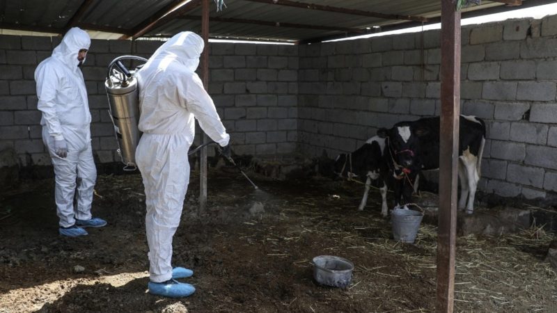 وفاة جديدة بالحمى النزفية في ديالى ترفع حصيلة الإصابات بالعراق