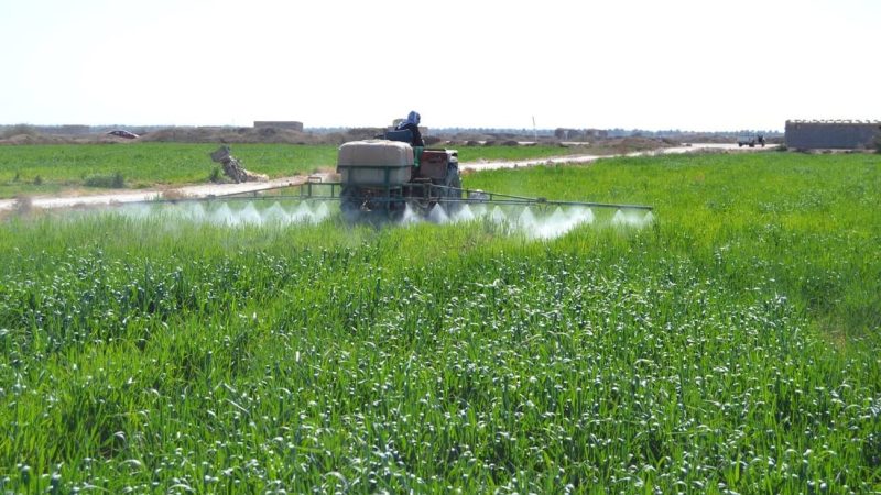 الزراعة تجدد عقود فلاحين بابل وتطلق حملات لمكافحة الآفات