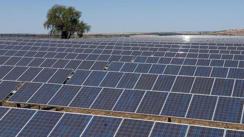 وزير الكهرباء يعلن تأهيل 16 شركة جديدة لنصب منظومات الطاقة الشمسية
