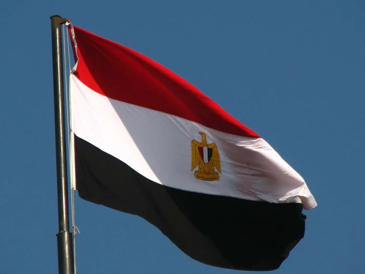 مصر ترحب بإعلان وقف إطلاق النار بين الهند وباكستان: خطوة نحو التهدئة والسلام
