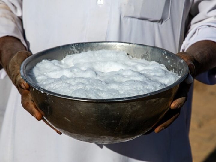 السعودية.. حليب الإبل قريبا إلى الصين