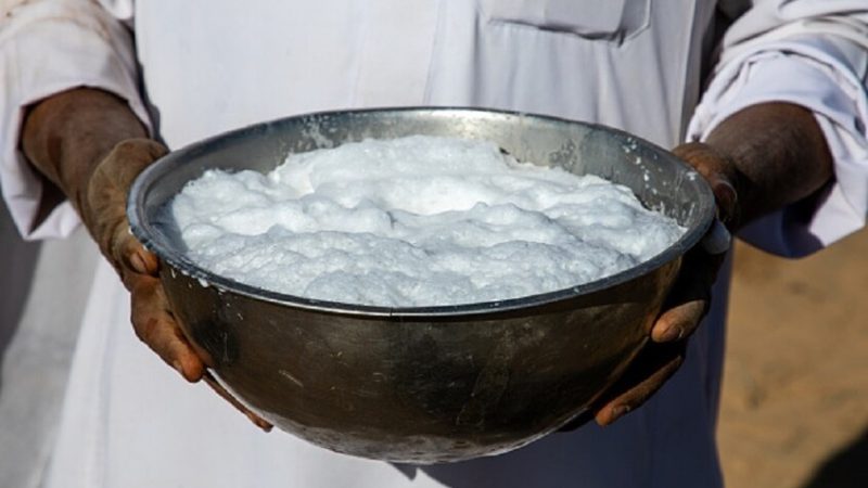 السعودية.. حليب الإبل قريبا إلى الصين