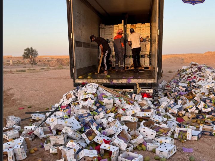 الكمارك تضبط حاويات وشاحنات وتُتلف أطنانًا من المواد غير الصالحة