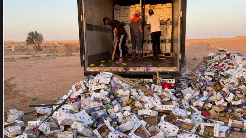 الكمارك تضبط حاويات وشاحنات وتُتلف أطنانًا من المواد غير الصالحة
