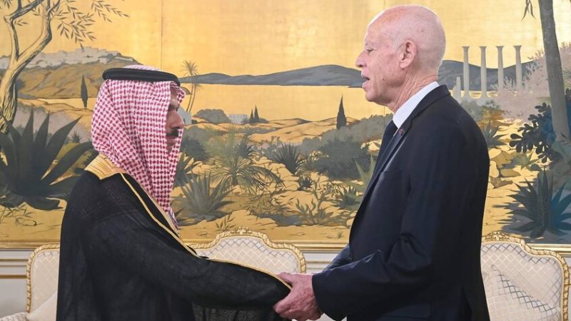 الرئيس التونسي: نعيش “سايكس بيكو” جديدا و”الحركة الصهيونية” تسعى إلى القضاء على وجود الدول