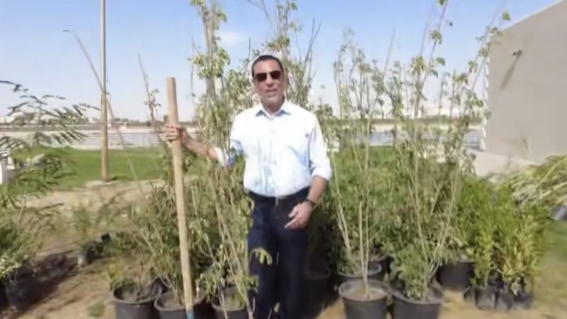 الزاملي يطلق حملة تشجير في مدينة الصدر بجهود ذاتية