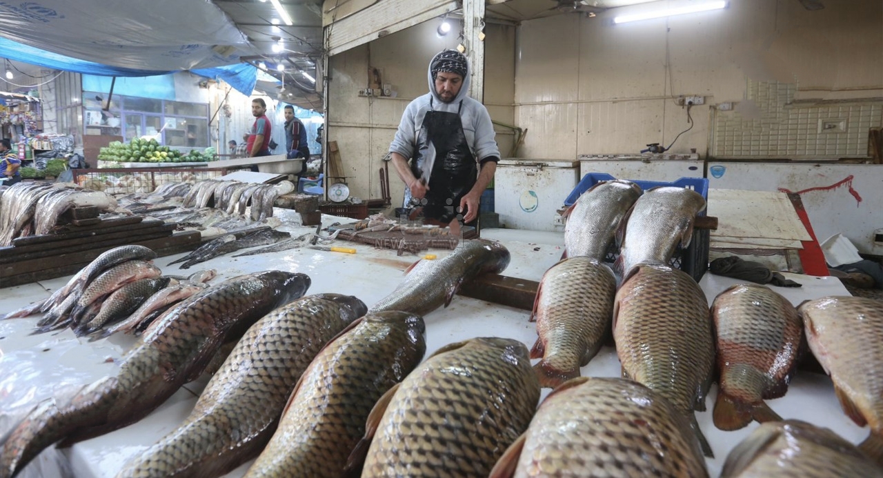 50% من إنتاج أسماك قصر شيرين الإيرانية يُصدّر إلى العراق
