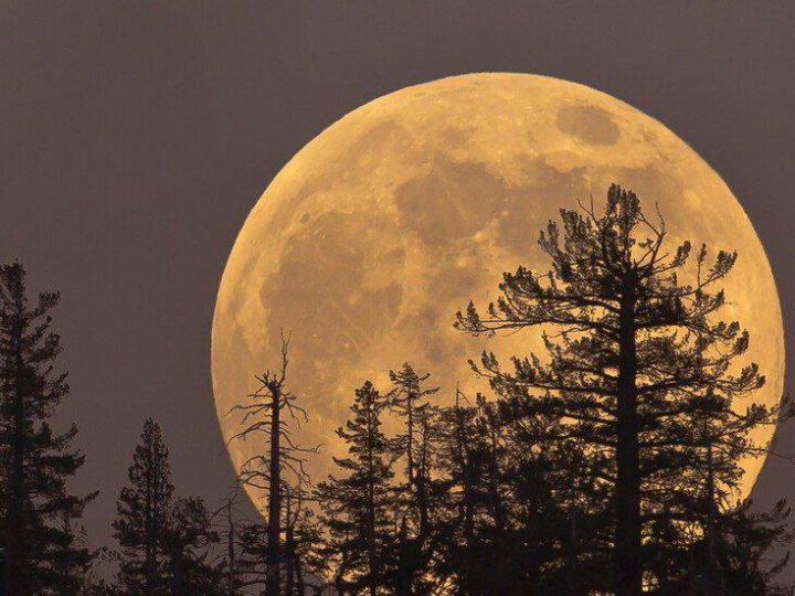 الأربعاء المقبل.. القمر العملاق يزيّن سماء العالم في أكبر بدر لعام 2025