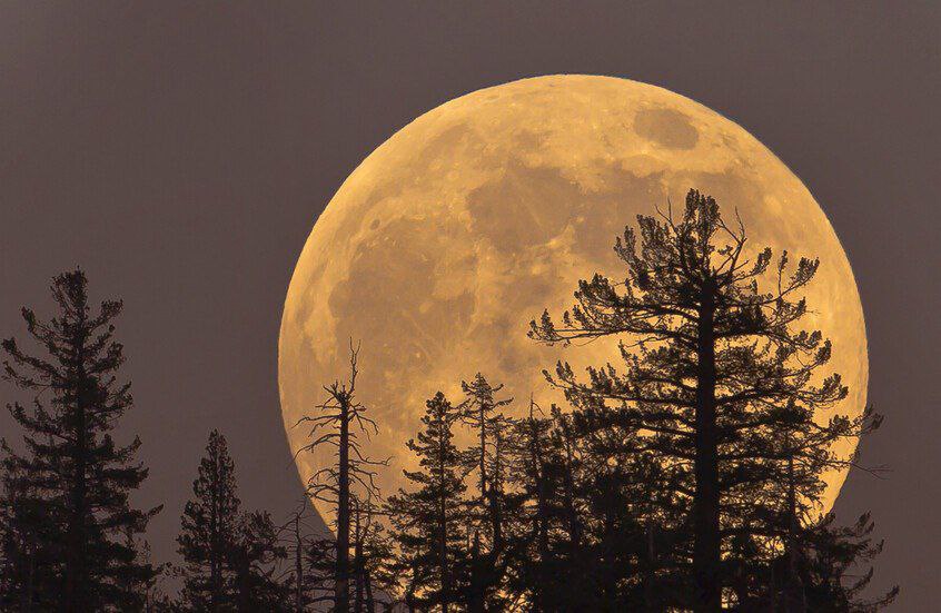 الأربعاء المقبل.. القمر العملاق يزيّن سماء العالم في أكبر بدر لعام 2025