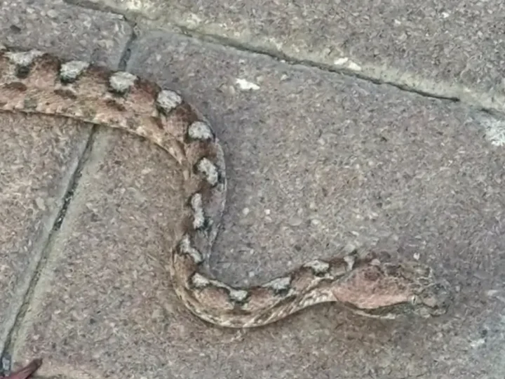 مدينة إسرائيلية تعيش “فيلم رعب”