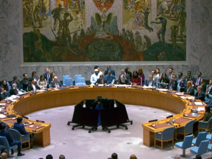 قيادي بمنظمة التحرير: قرار مجلس الأمن تراجع خطير عن القضية الفلسطينية