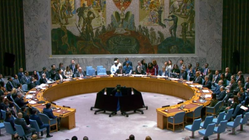 قيادي بمنظمة التحرير: قرار مجلس الأمن تراجع خطير عن القضية الفلسطينية