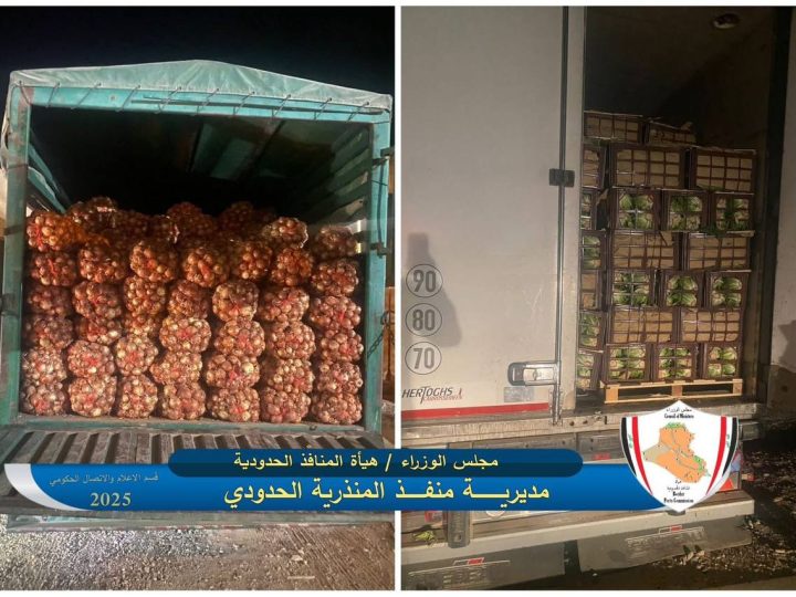 ضبط 6 شاحنات تحمل محاصيل زراعية مخالفة لشروط الاستيراد