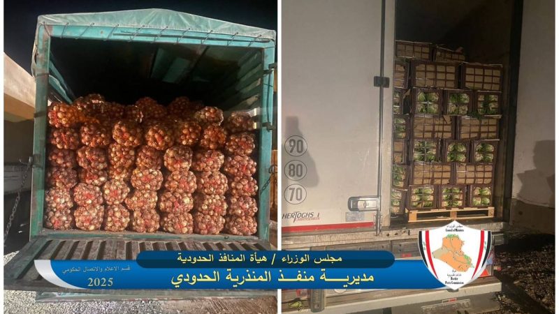 ضبط 6 شاحنات تحمل محاصيل زراعية مخالفة لشروط الاستيراد