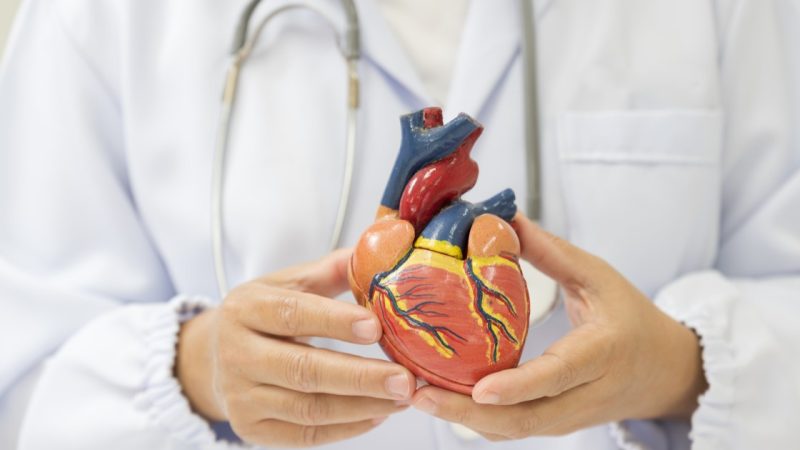 المنتدى الأوراسي في روسيا يناقش توظيف الذكاء الاصطناعي في تشخيص أمراض القلب