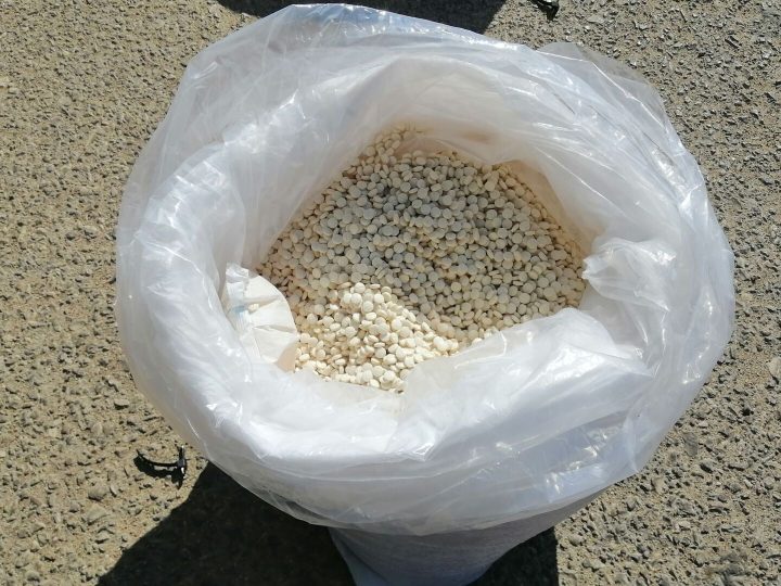 الأمم المتحدة تعلن تفكيك الإنتاج الضخم لمخدر ” الكبتاغون” في سوريا بعد رحيل الأسد