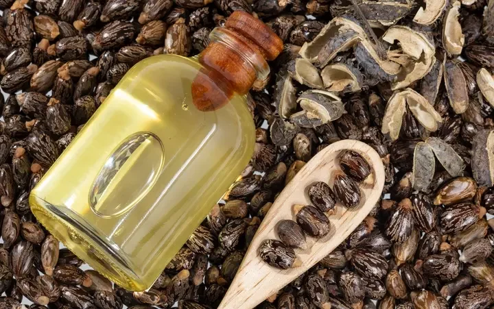 “استخدمته كليوباترا”.. فوائد صحية لزيت الخروع