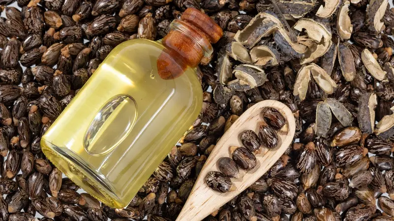 “استخدمته كليوباترا”.. فوائد صحية لزيت الخروع