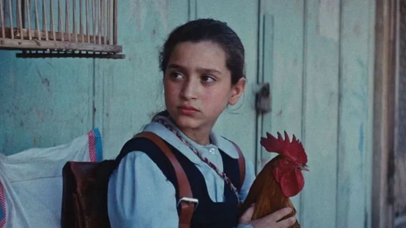 بينها العراقي “كعكة الريس”.. 4 أفلام عربية مرشحة لجائزة “الأوسكار”