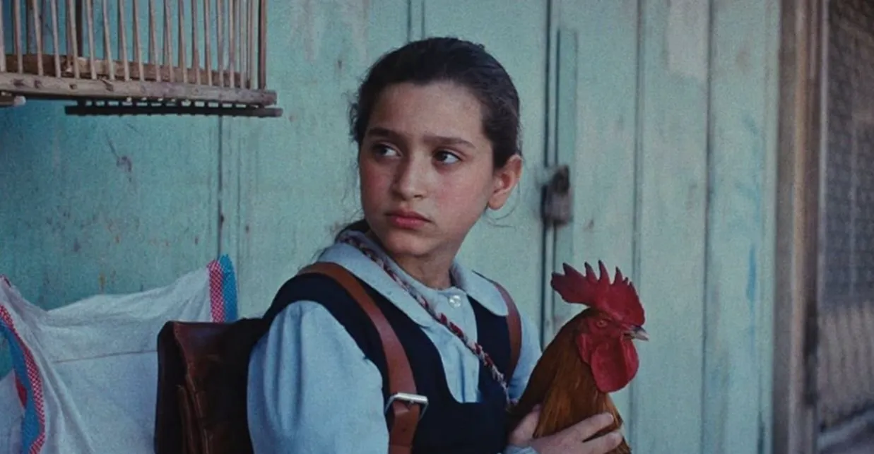 بينها العراقي “كعكة الريس”.. 4 أفلام عربية مرشحة لجائزة “الأوسكار”