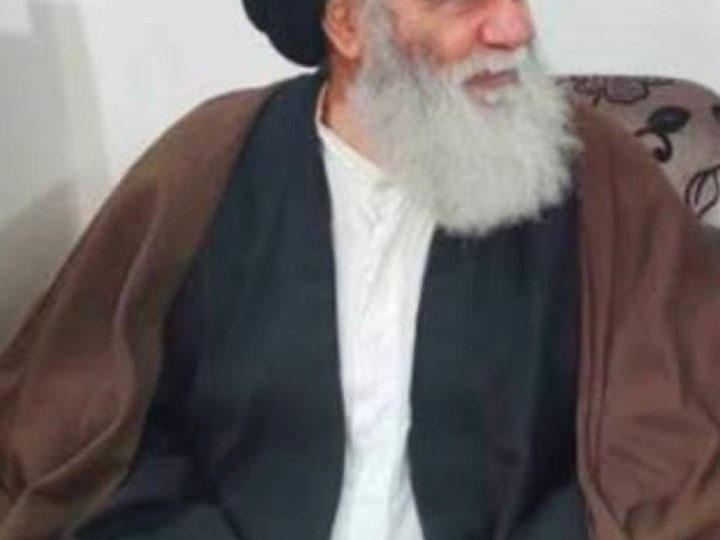 وفاة العلّامة السيد هادي السيستاني شقيق المرجع الأعلى السيد علي السيستاني