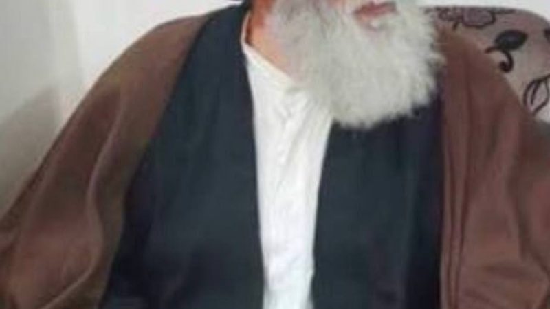 وفاة العلّامة السيد هادي السيستاني شقيق المرجع الأعلى السيد علي السيستاني