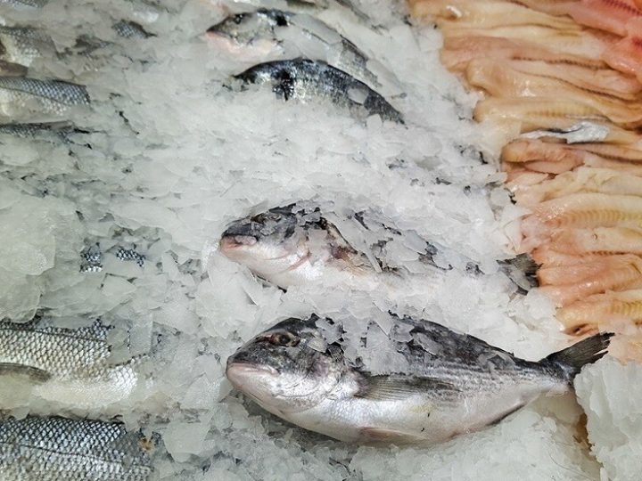 الصين تعلن اكتشاف فيروس جديد في المنتجات البحرية يسبب العمى