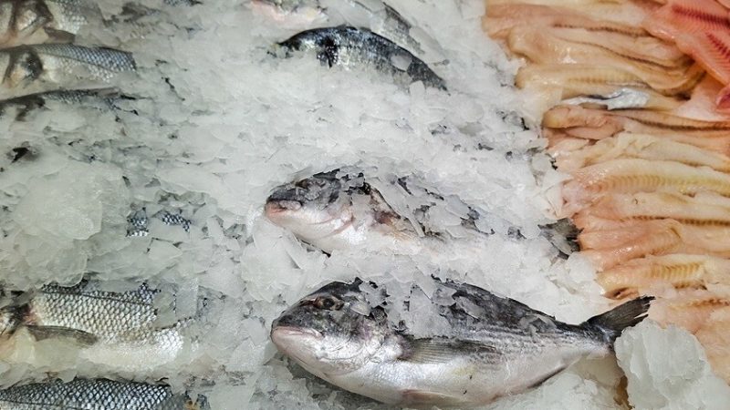 الصين تعلن اكتشاف فيروس جديد في المنتجات البحرية يسبب العمى