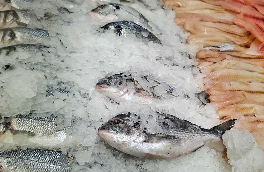 الصين تعلن اكتشاف فيروس جديد في المنتجات البحرية يسبب العمى