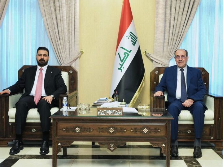 الزيدي والمالكي يؤكدان ضرورة تضافر جهود القوى الوطنية لاستكمال تشكيل الحكومة