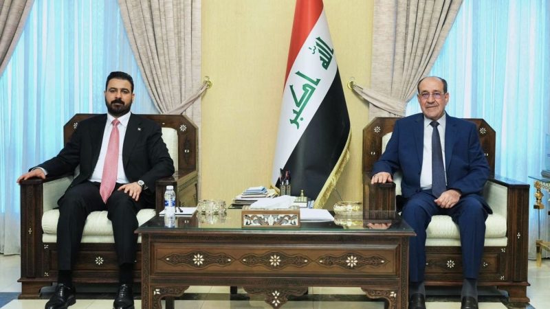 الزيدي والمالكي يؤكدان ضرورة تضافر جهود القوى الوطنية لاستكمال تشكيل الحكومة