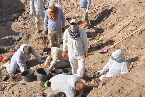 مؤسسة الشهداء: تفعيل ثلاثة ملفات تشمل الأراضي السكنية والمقابر الجماعية ومستحقات المؤنفلين