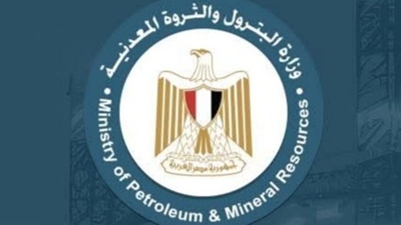وزارة البترول المصرية تصدر بيانا عقب حريق في سفينتين بميناء دمياط
