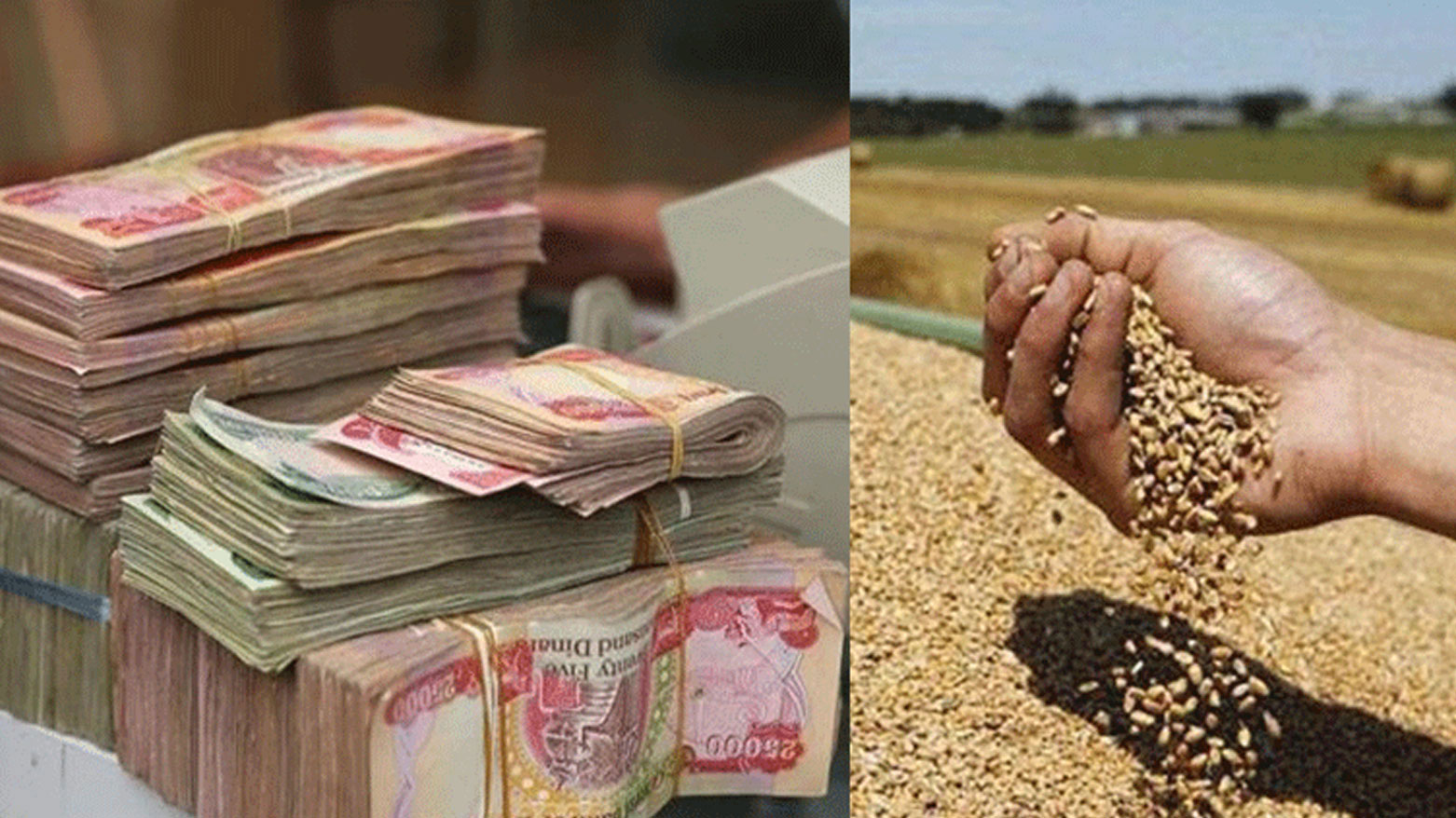 بغداد تخصّص 58 مليار دينار لمزارعي كوردستان ضمن الوجبة السابعة لمستحقات القمح