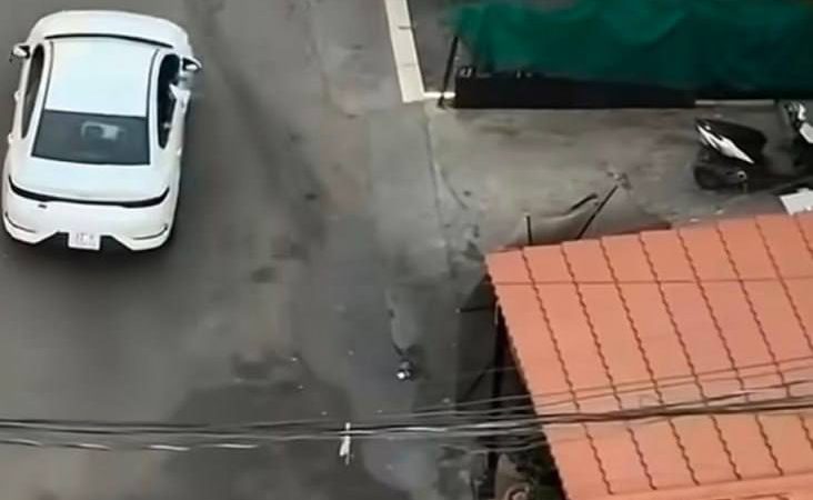 الداخلية تعلن القبض على عدد من متحرشي حادثة المنصور